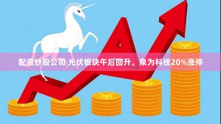 配资炒股公司 光伏板块午后回升，泉为科技20%涨停