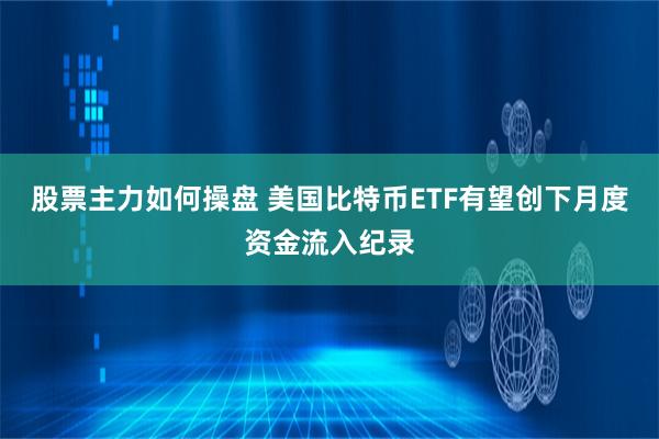 股票主力如何操盘 美国比特币ETF有望创下月度资金流入纪录