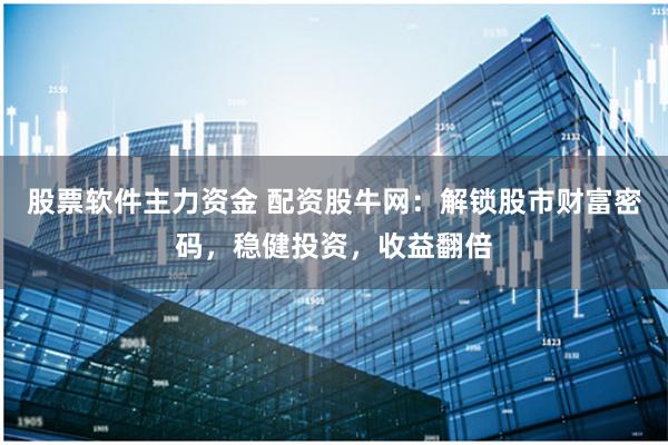 股票软件主力资金 配资股牛网：解锁股市财富密码，稳健投资，收益翻倍